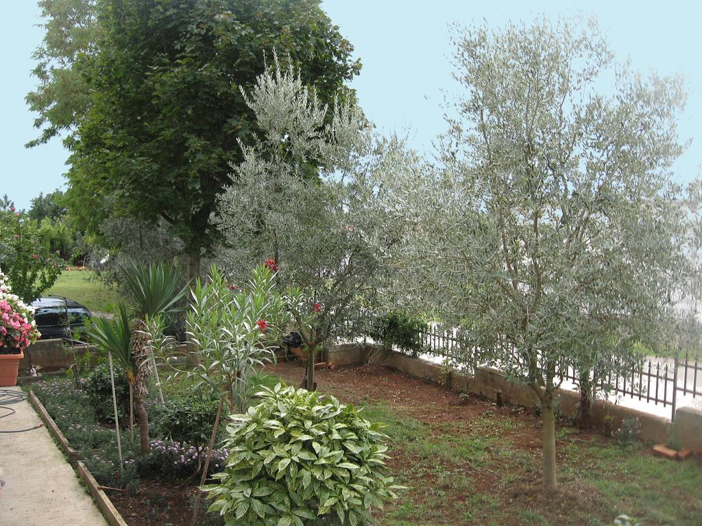 Apartments Adelita Пореч Номер фото